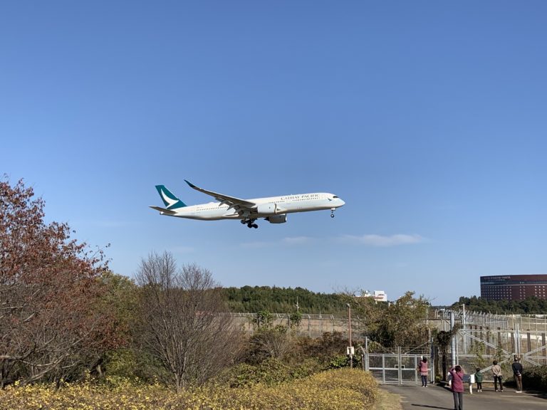花 ワッペン 大きい 4K]成田空港 ひこうきの丘 夜の成田に離着陸