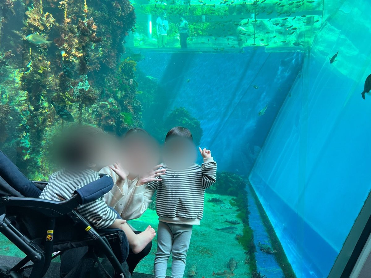 大きな水槽の前で